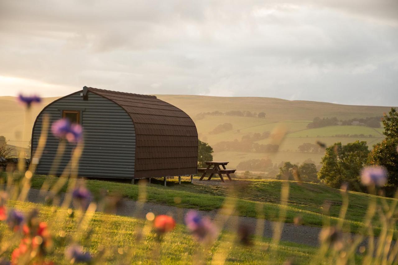 Wild Northumberland Glamping Villa เฮกแซม ภายนอก รูปภาพ