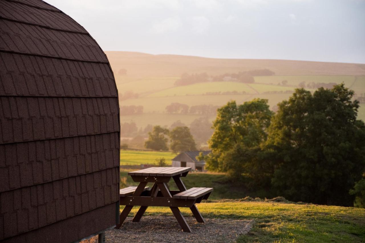 Wild Northumberland Glamping Villa เฮกแซม ภายนอก รูปภาพ