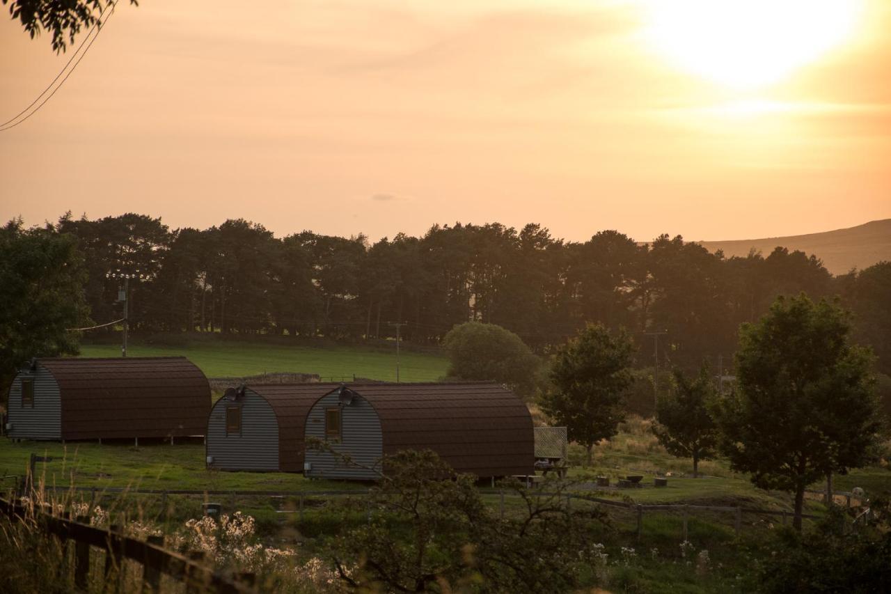 Wild Northumberland Glamping Villa เฮกแซม ภายนอก รูปภาพ