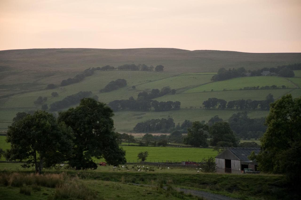 Wild Northumberland Glamping Villa เฮกแซม ภายนอก รูปภาพ